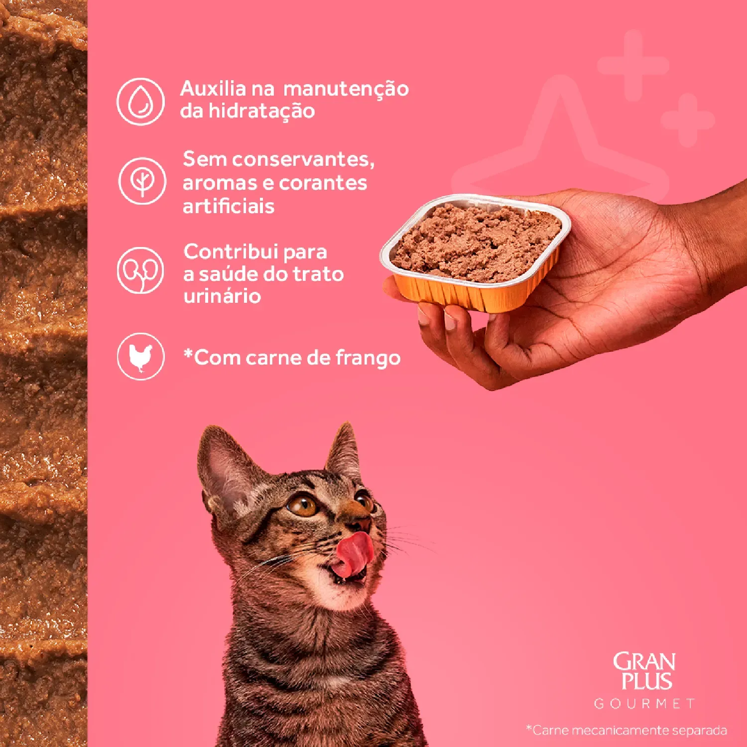 Gatos Adultos Pate Gourmet Carne 1